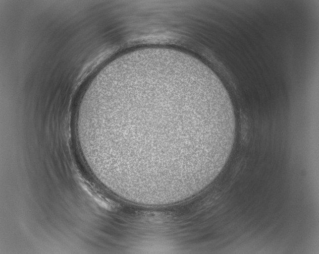 X0000076370486200611031607