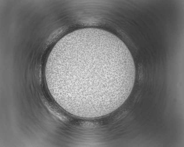 X0000076370494200611031607