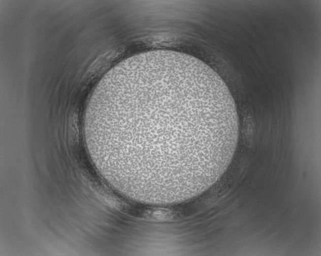 X0000076370506200611031607