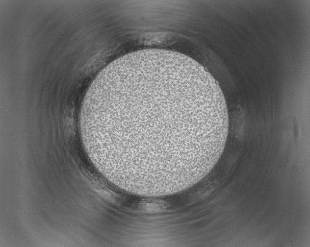 X0000076370510200611031607