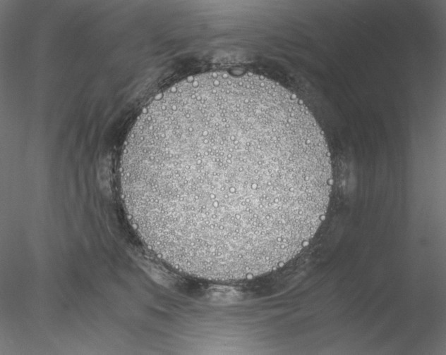 X0000076370519200611031607