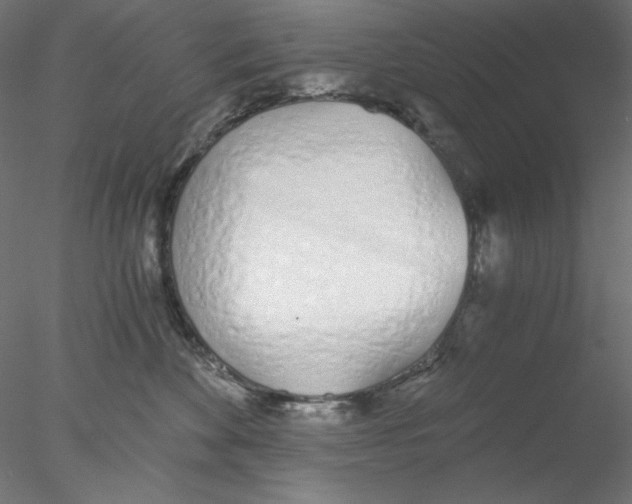 X0000076370524200611031607