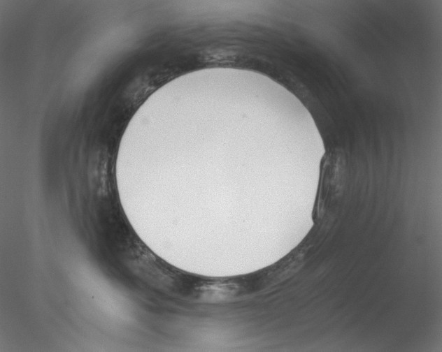 X0000076370525200611031607