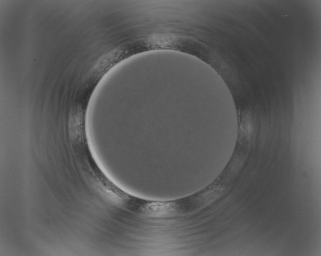 X0000076370526200611031607