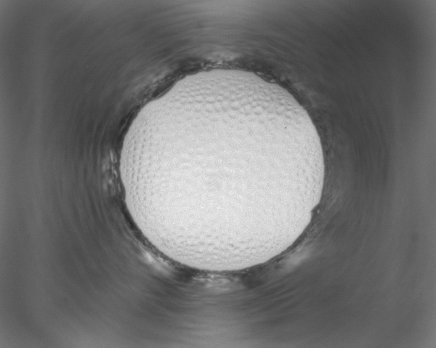 X0000076370528200611031607