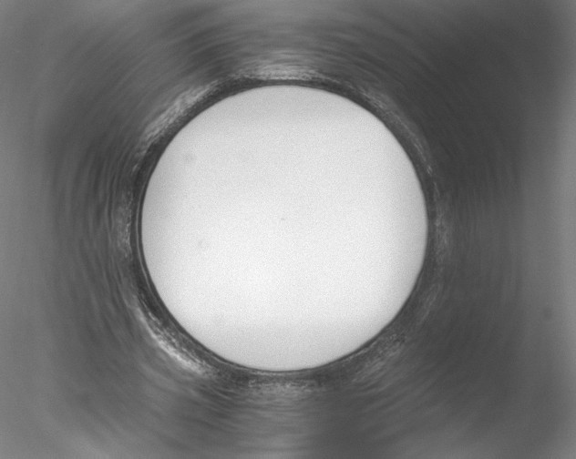 X0000076370533200611031606