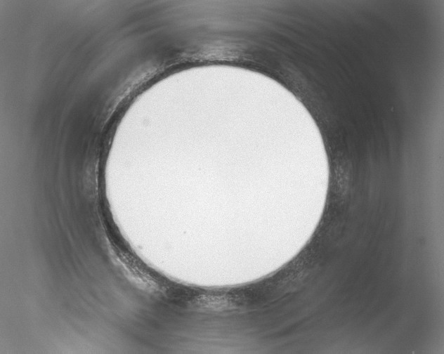 X0000076370534200611031606