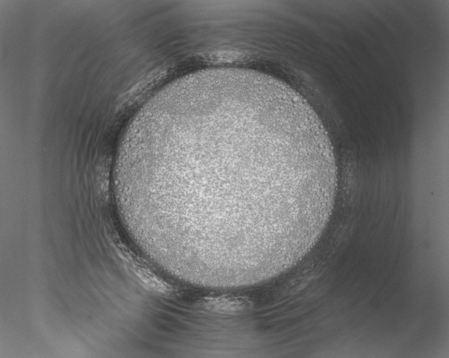 X0000076370545200611031606