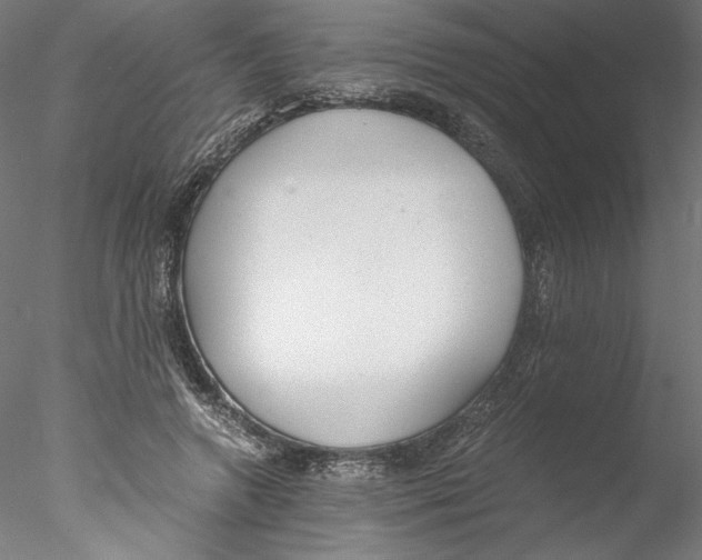 X0000076370546200611031606