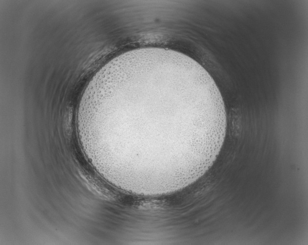 X0000076370550200611031606