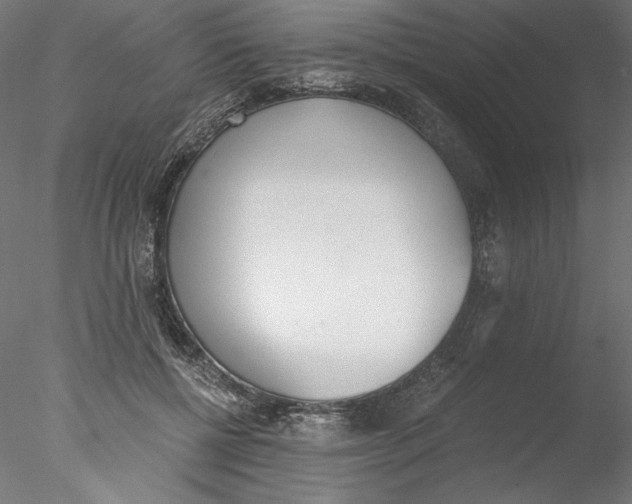 X0000076370552200611031606