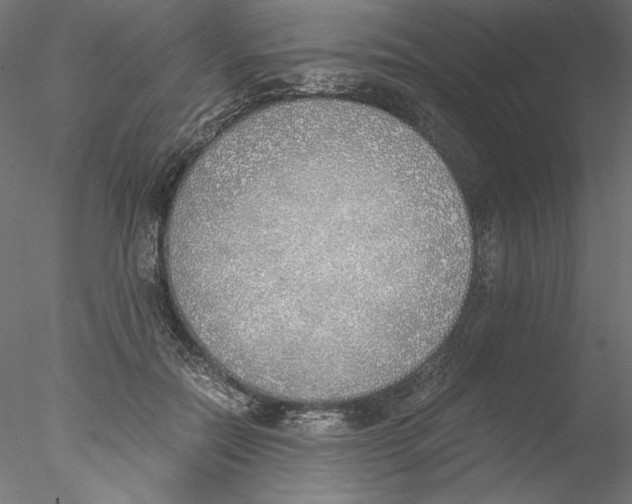 X0000076370554200611031606