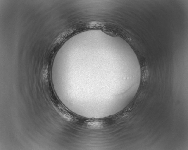 X0000076370560200611031606