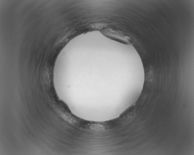 X0000076370572200611031606