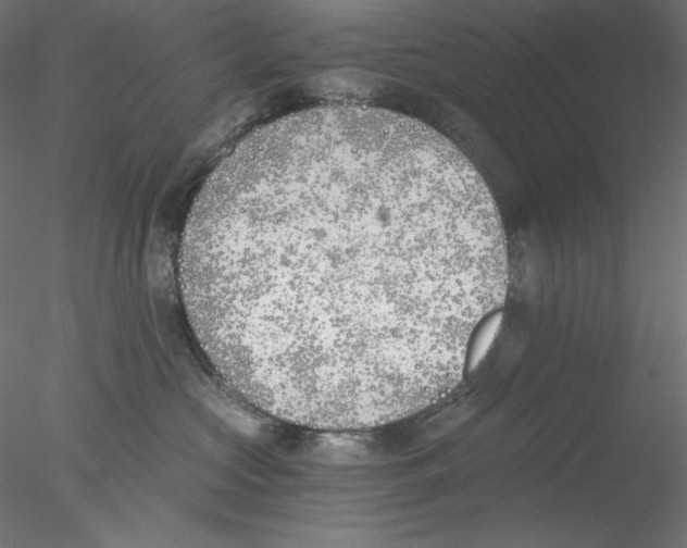 X0000076370573200611031606