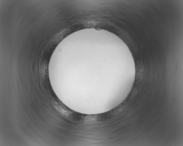 X0000076370574200611031606