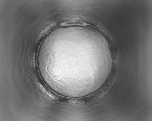 X0000076370585200611031606