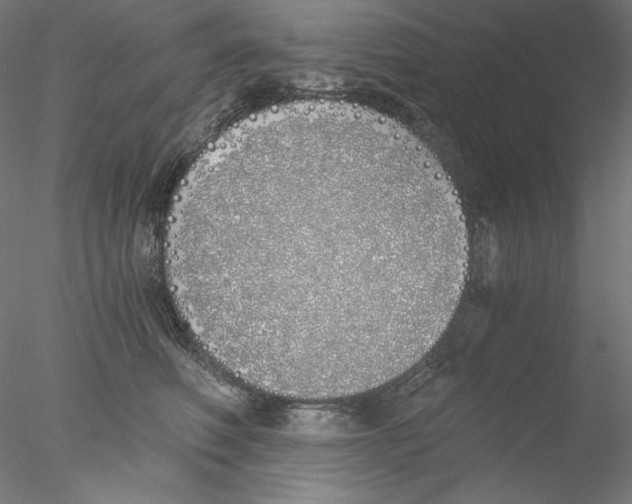 X0000076370614200611031605
