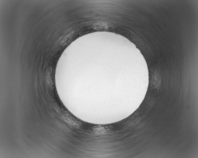 X0000076370616200611031605