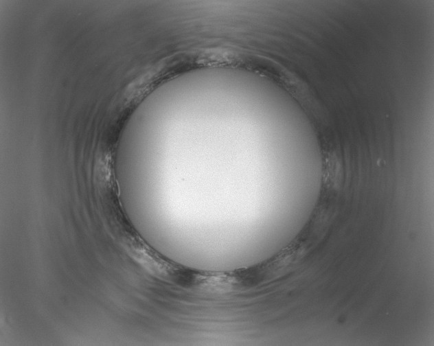 X0000076370621200611031605