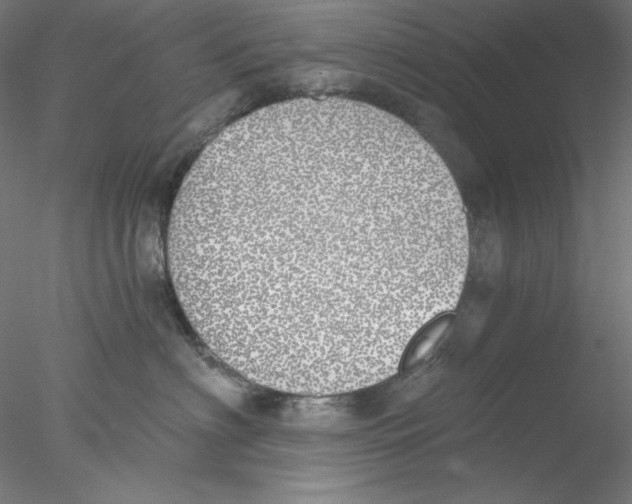 X0000076370622200611031605