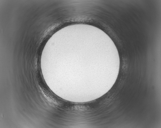X0000076370636200611031604