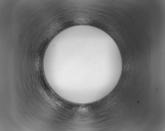 X0000076370647200611031604