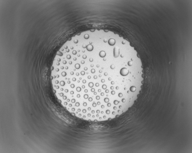 X0000076370650200611031604