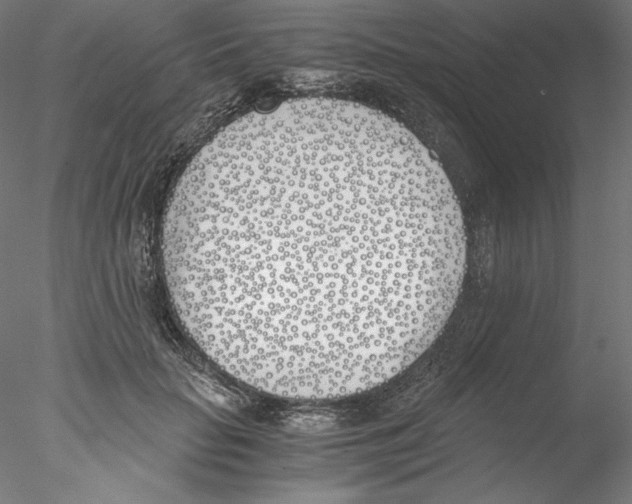 X0000076370653200611031605