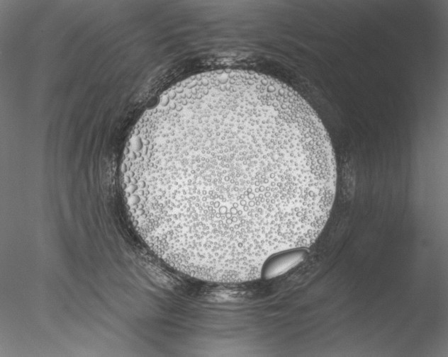 X0000076370657200611031605