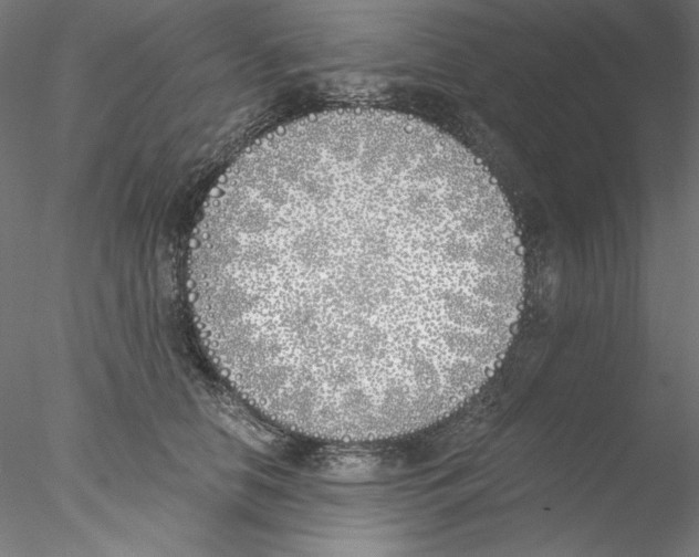 X0000076370658200611031605