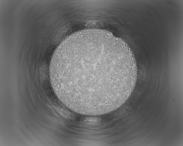 X0000076370659200611031605