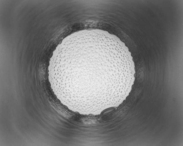 X0000076370661200611031605