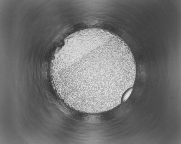X0000076370664200611031605