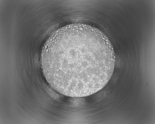 X0000076370670200611031605