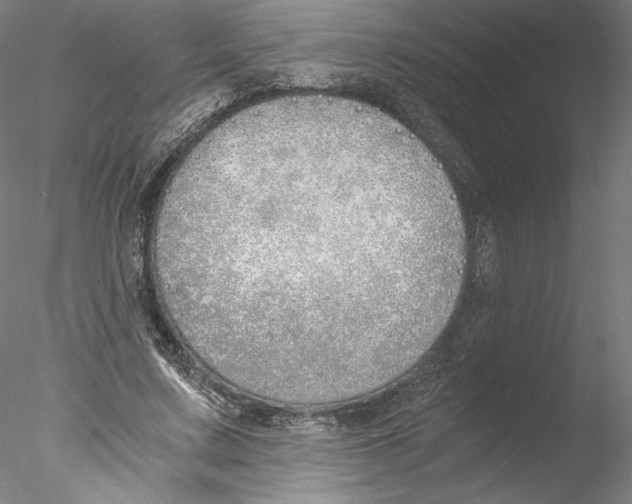 X0000076370683200611031604