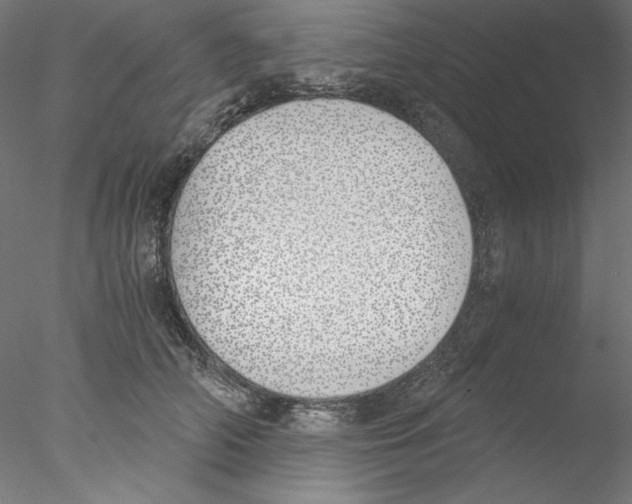 X0000076370706200611031604