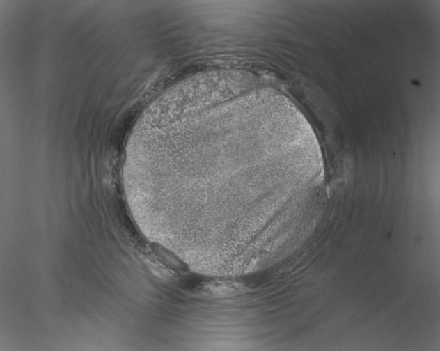 X0000076370712200611031603