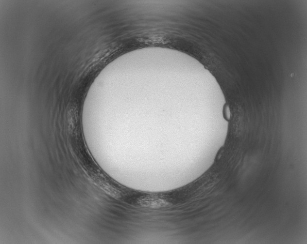 X0000076370747200611031603