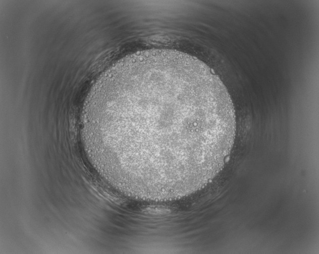 X0000076370749200611031603