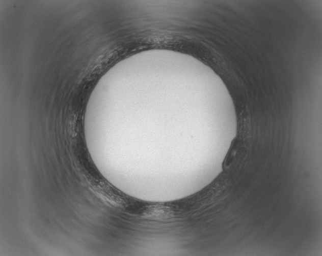 X0000076370750200611031603