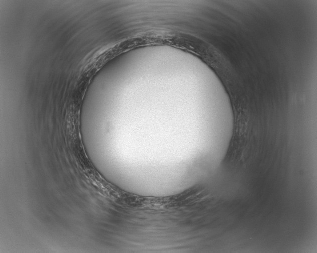 X0000076370773200611031602
