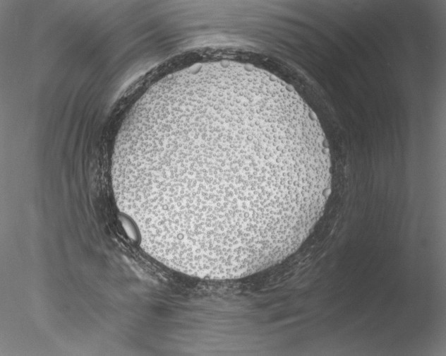 X0000076370775200611031602