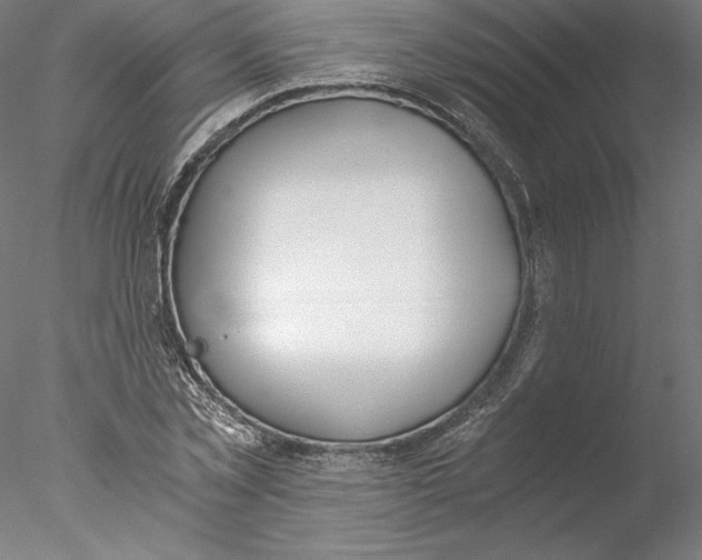 X0000076370781200611031602