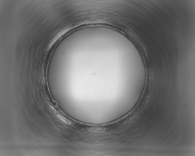 X0000076370789200611031602