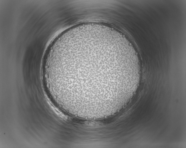 X0000076370795200611031602