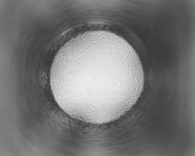 X0000076370821200611031601