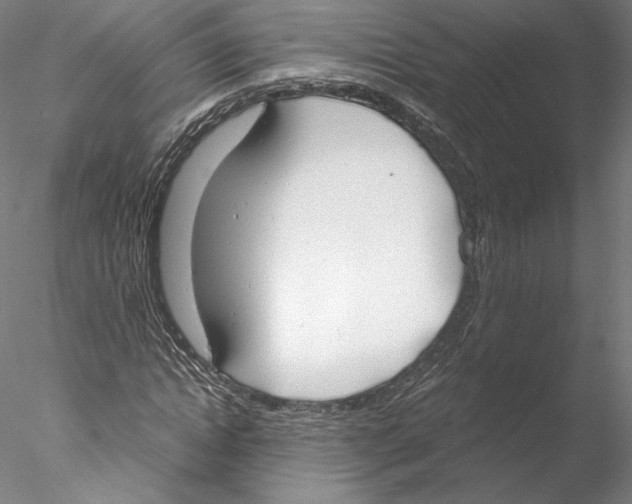 X0000076370822200611031601