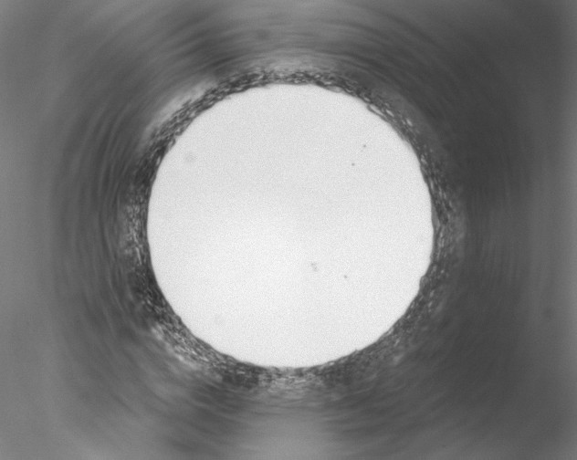 X0000076370824200611031601