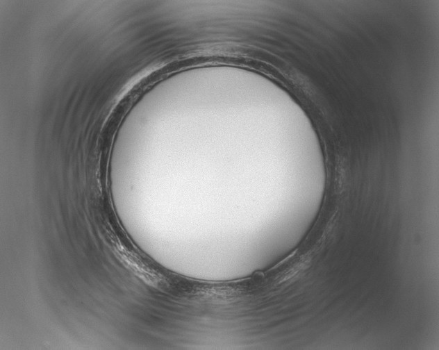 X0000076370830200611031601